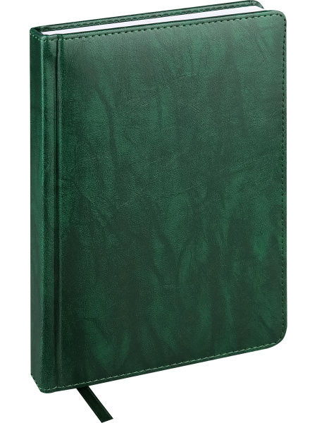 ЕЖЕДНЕВНИК А5, 160л. недатир. EVERYDAY CHRONICLES - EMERALD, кожзам (зеленый),160-5030