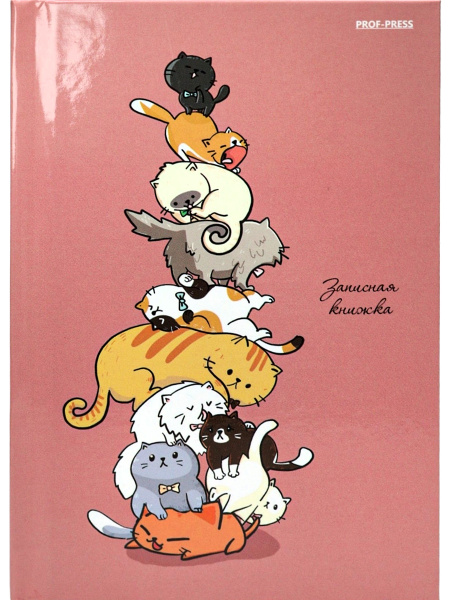 Записная книжка 'Башня с котами', А6 , 64 листа, 64-6706