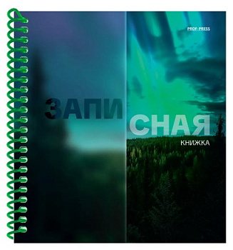 ЗАПИСНАЯ КНИЖКА А6 80л. КРАСИВАЯ ПРИРОДА цветная спираль,ЗК80-0749 